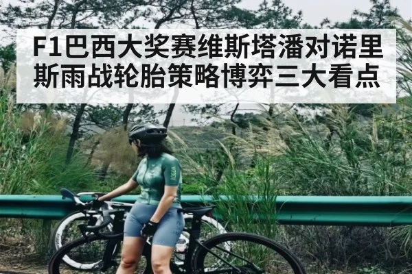 F1巴西大奖赛维斯塔潘对诺里斯雨战轮胎策略博弈三大看点