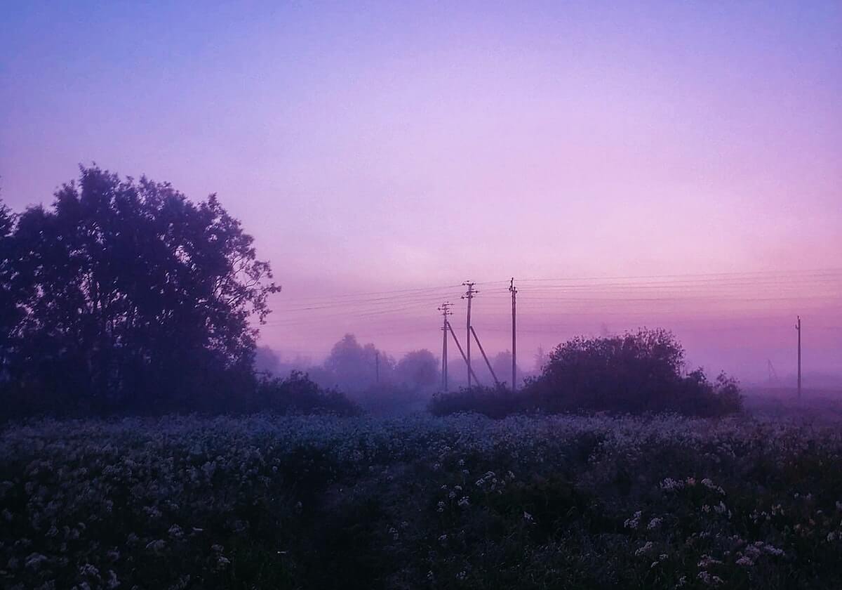 华体会真人官网-WTT重庆冠军赛 王楚钦输球无缘男单四强